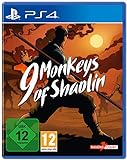 9 Monkeys of Shaolin (PS4)