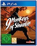 9 Monkeys of Shaolin (PS4)