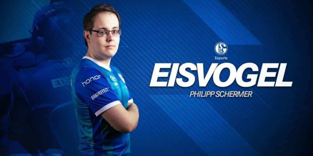 eisvogel new 1440x810
