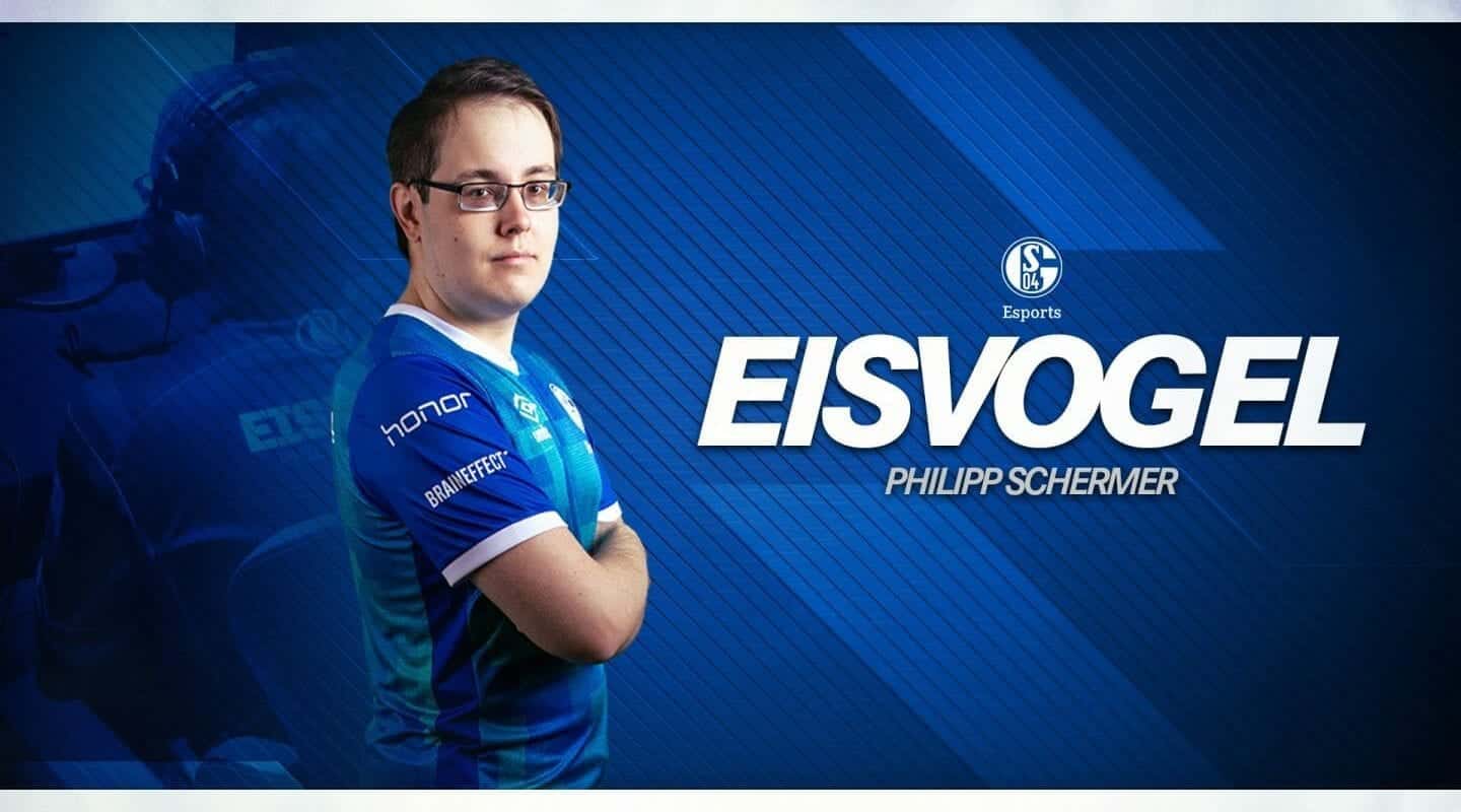 Eisvogel Fifa Eisvogel Fifa