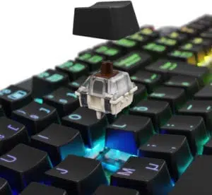 lk 300 pro switch view 05