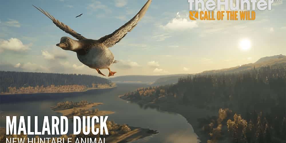thehunter ducks