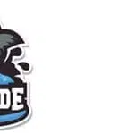 team riverside banner logo