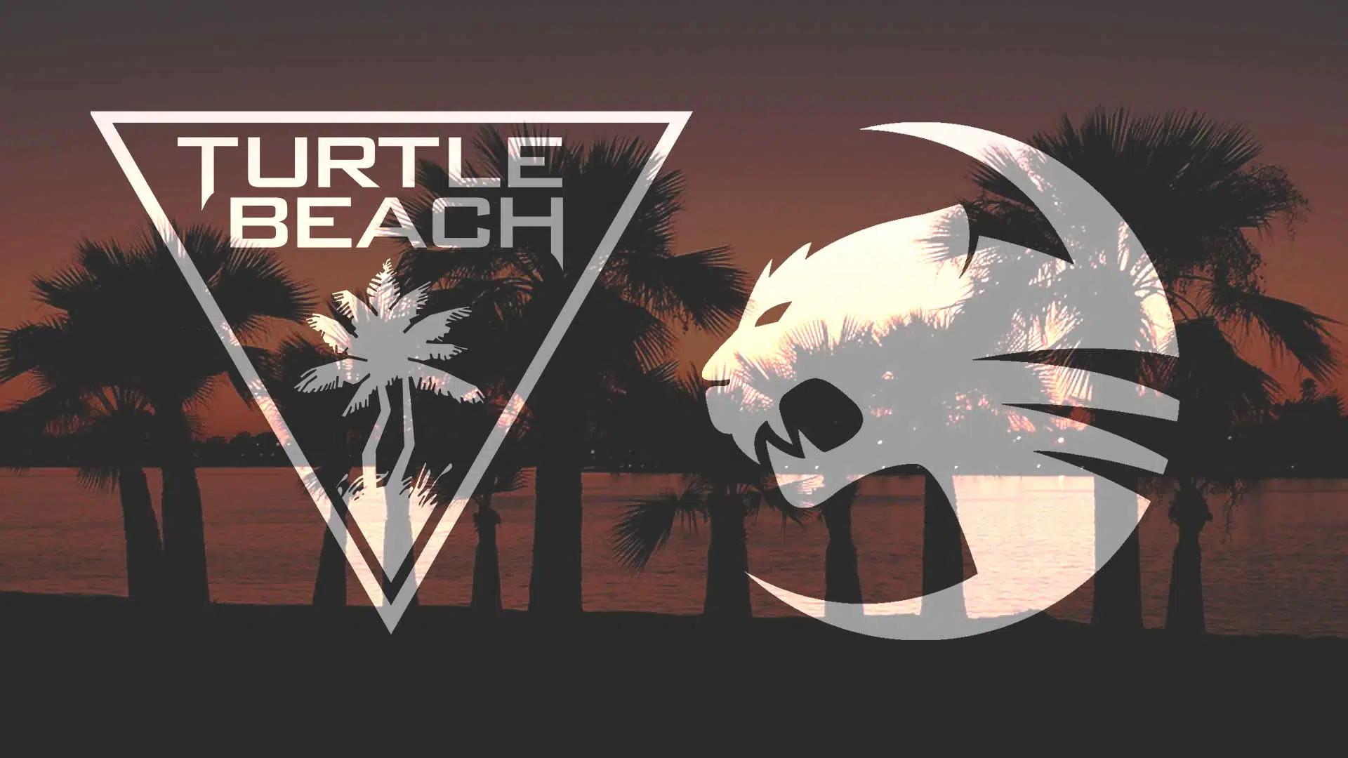 turtle beach roccat