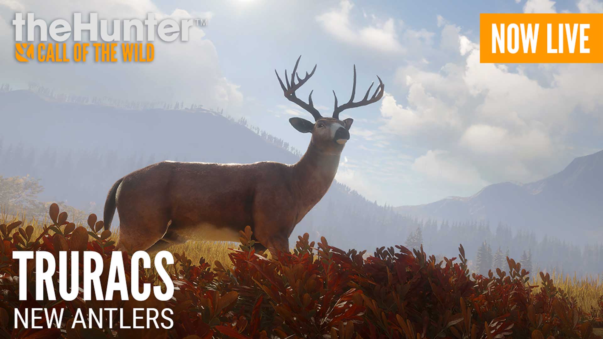 thehunter truracs
