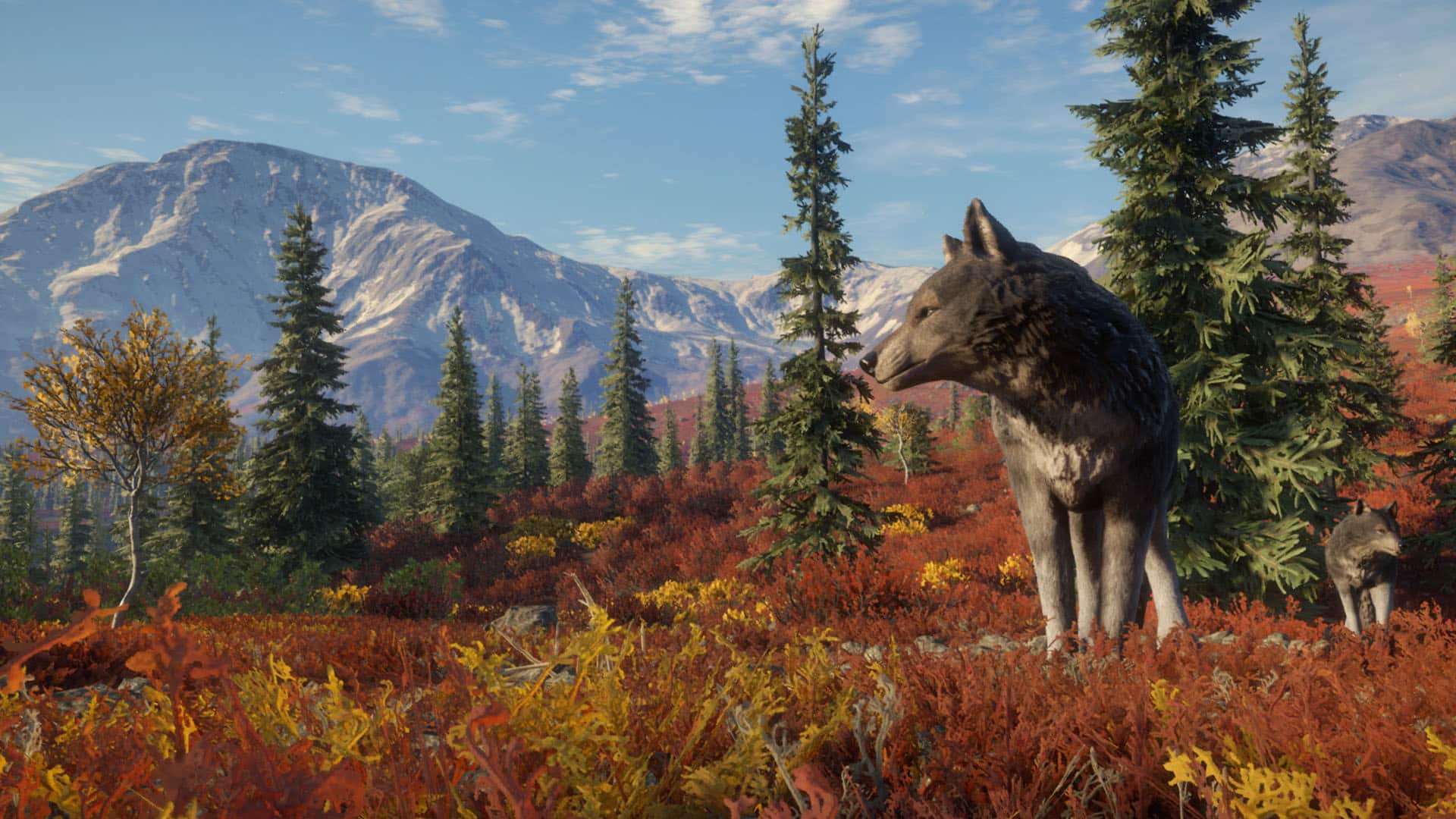 Neuer Alaska DLC „Yukon Valley“ für theHunter COTW | gaming-grounds.de