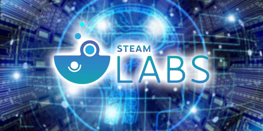 steam labs