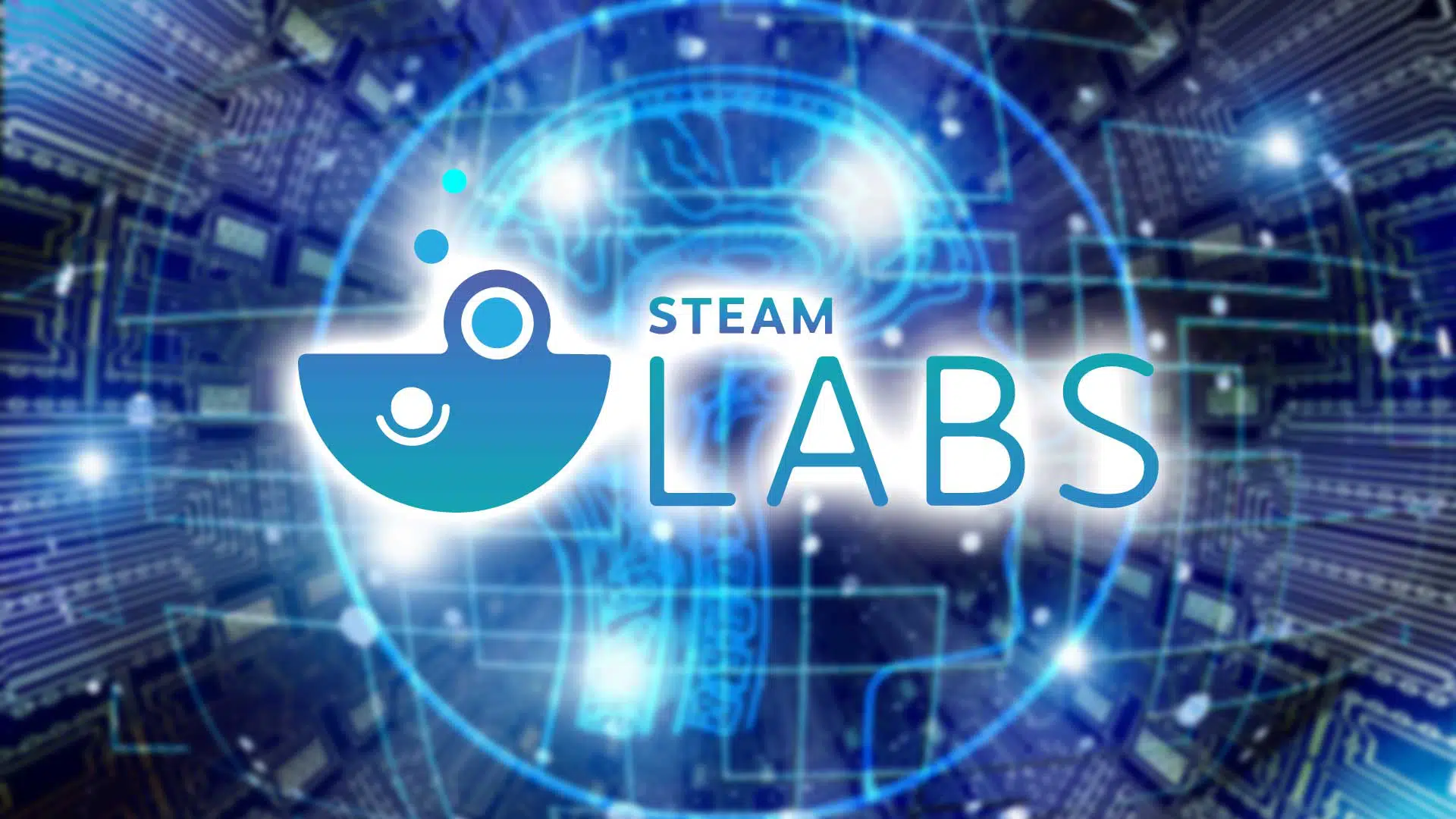 steam labs