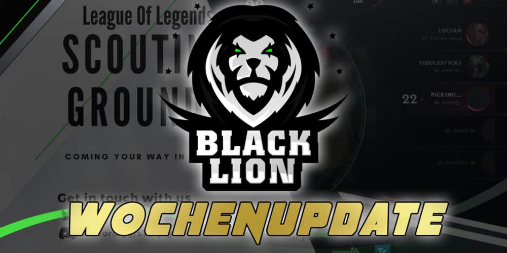 Wochenupdate 6