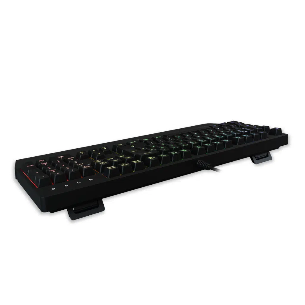 lk12 back 1