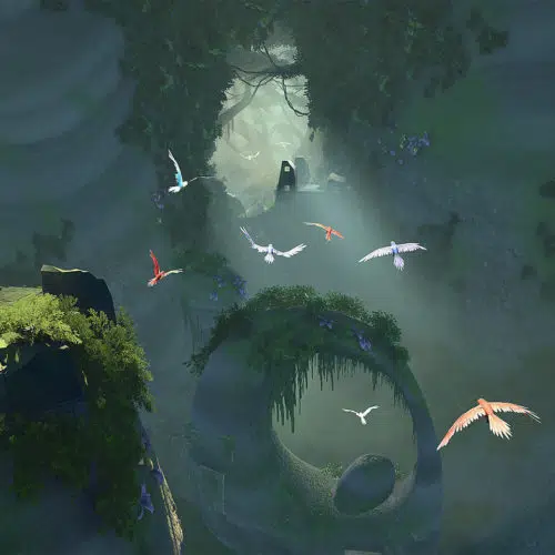 parrots