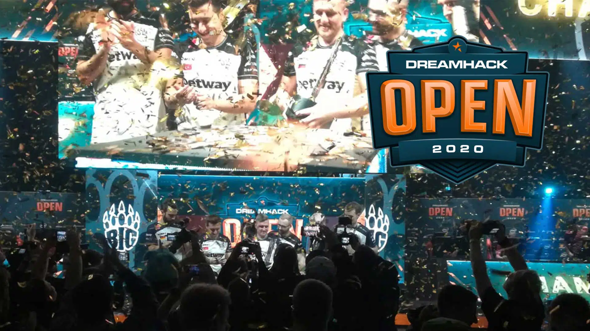 dreamhack open csgo big final 2020