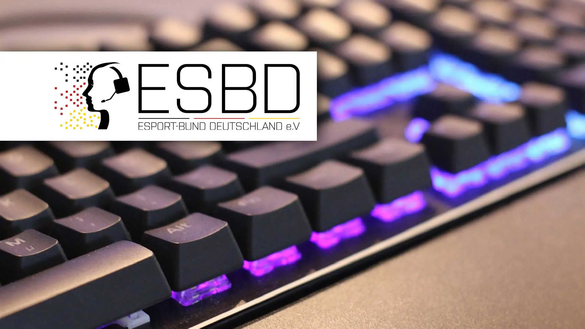 esbd logo e sport