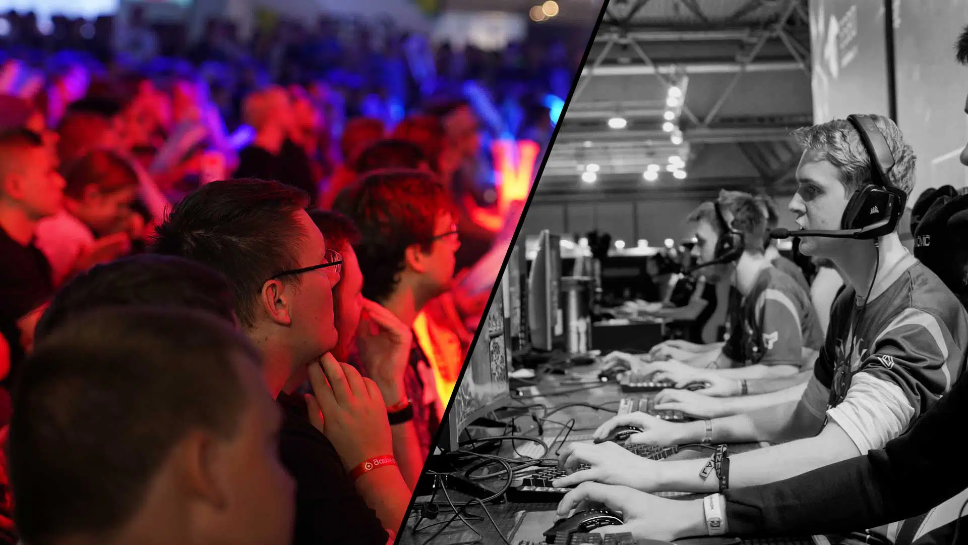 E Sport und Fans symbol 2019 babt