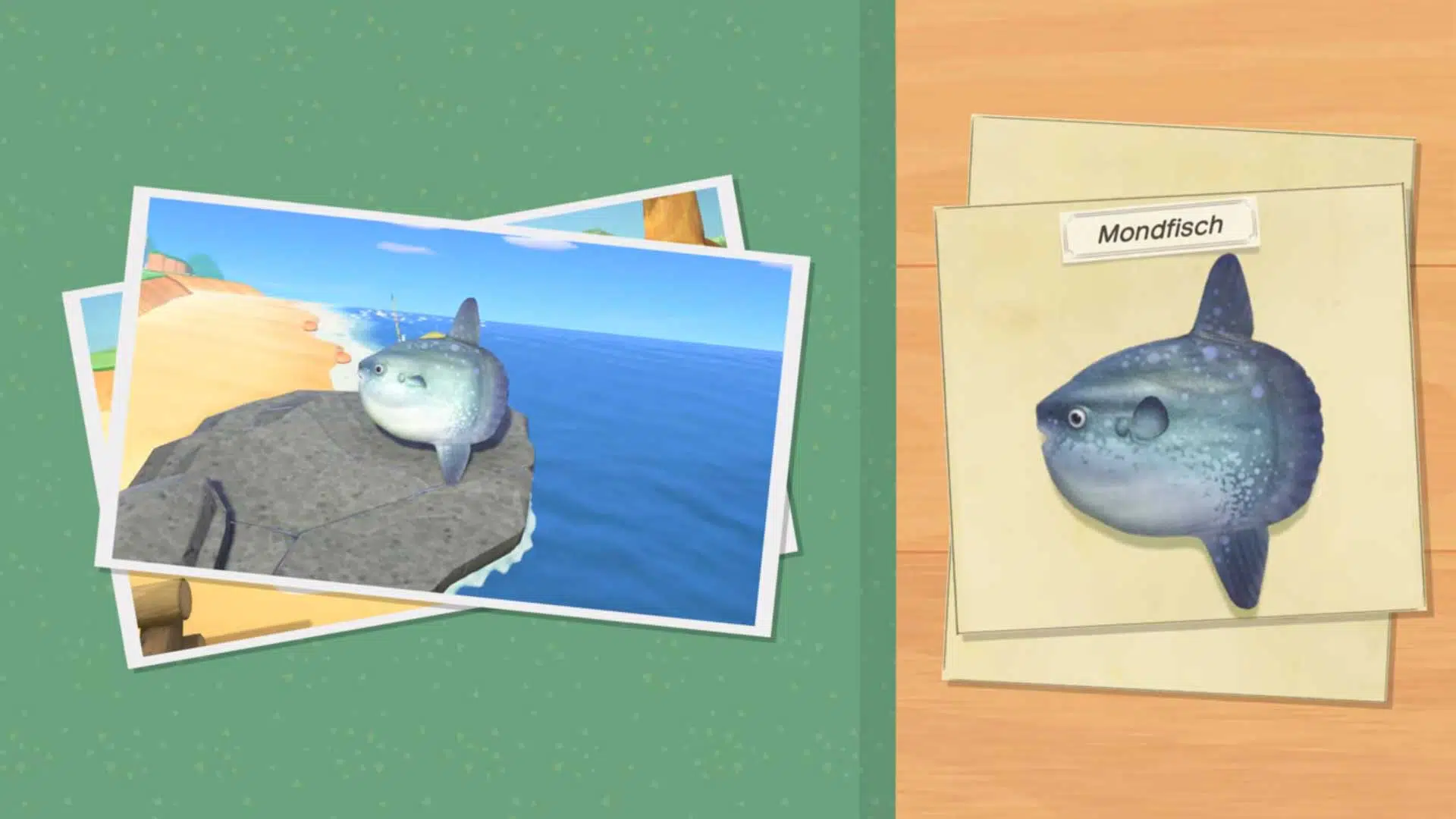 animal crossing new horizons mondfisch