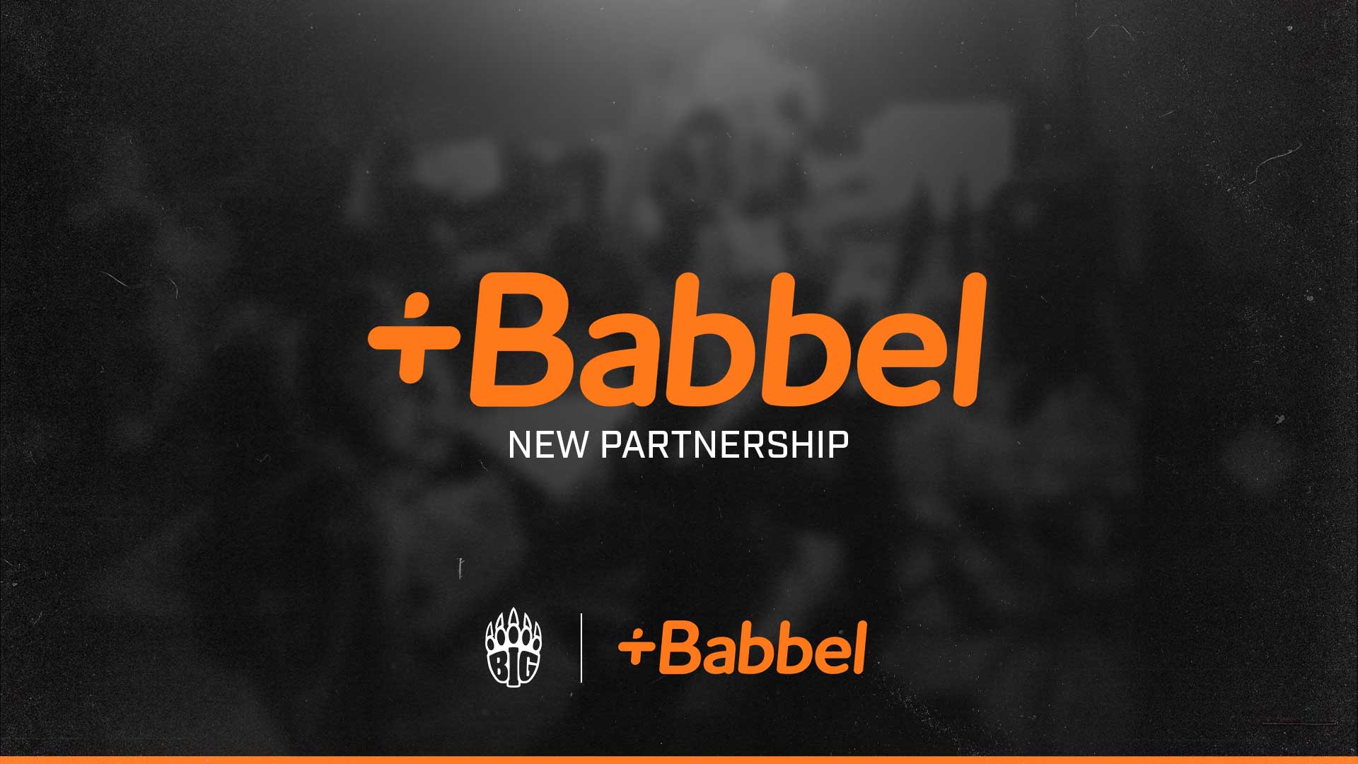 BIG BABBEL Partnership