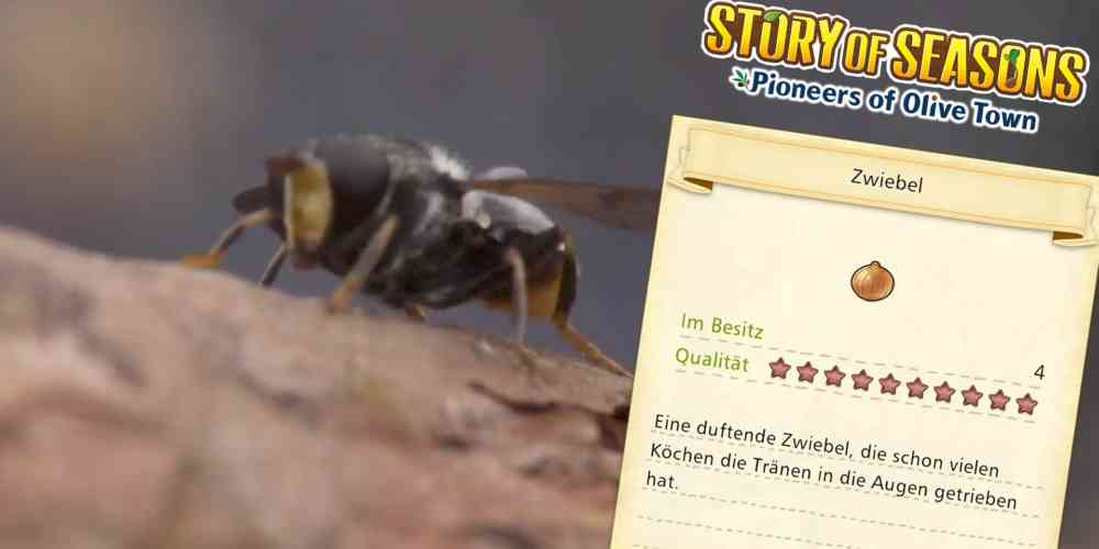 story of seasons tierschutz