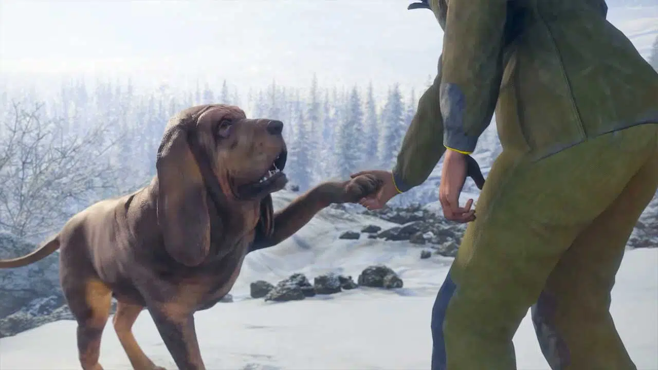 thehunter cotw bloodhound dlc 2