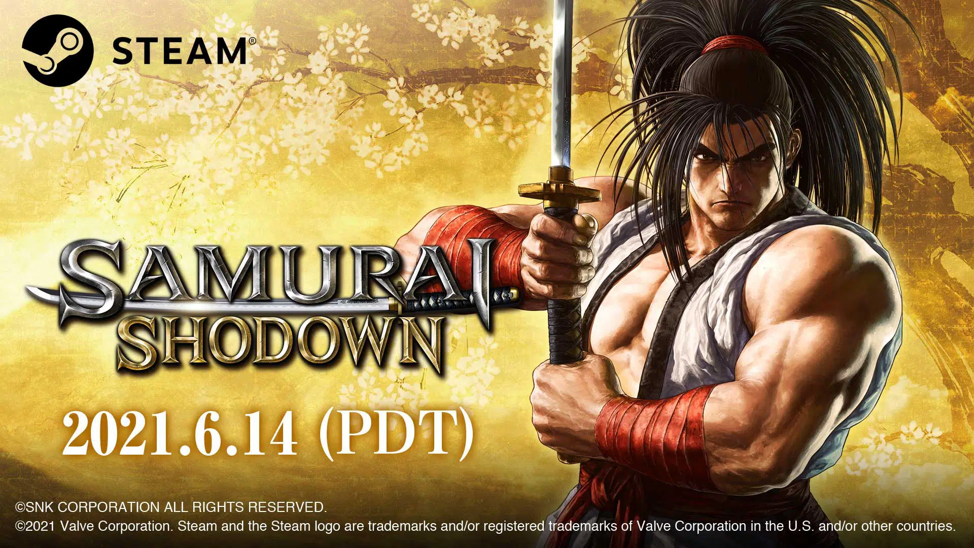 samurai shodown steam