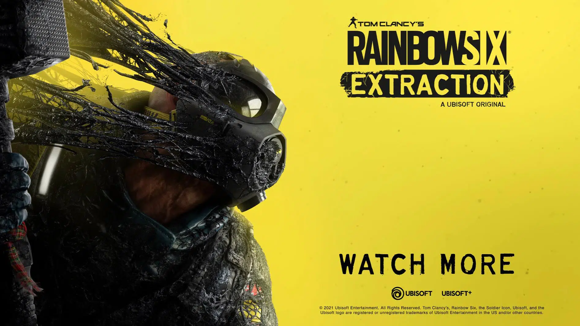 rainboiw six extraction