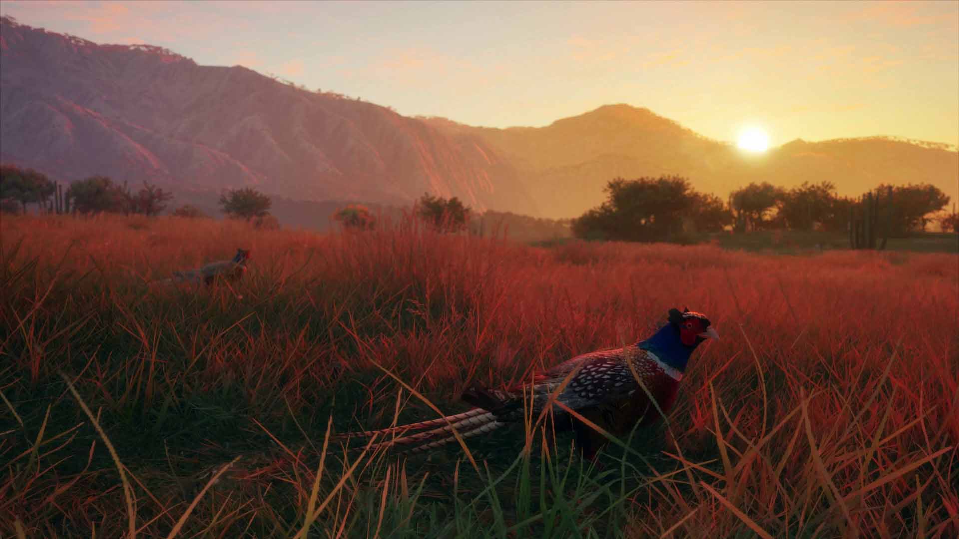 hunter call of the wild rancho del arroyo release date hunter call of the wild rancho del arroyo release date