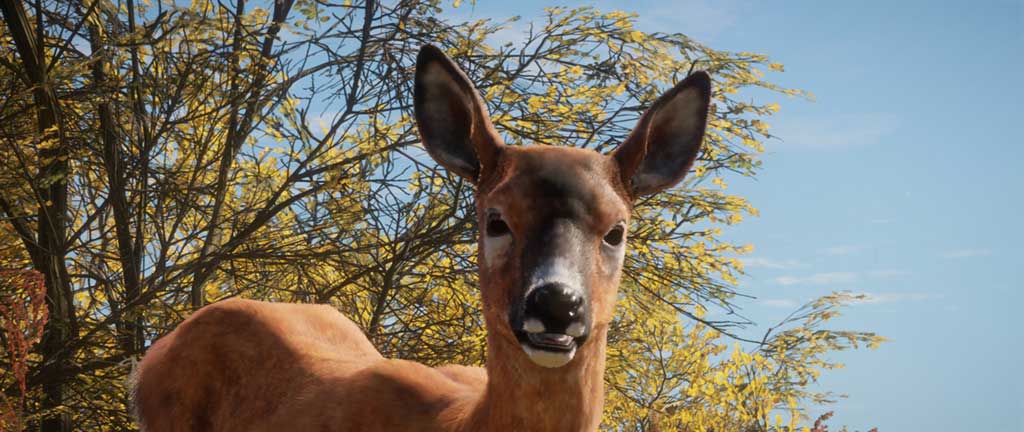cotw thehunter call of the wild reh cotw thehunter call of the wild reh