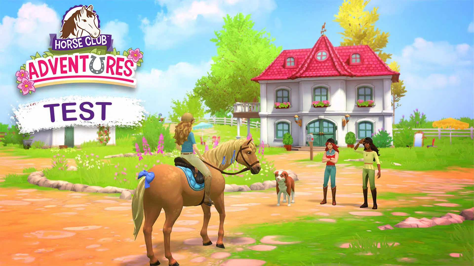 horse club adventures test