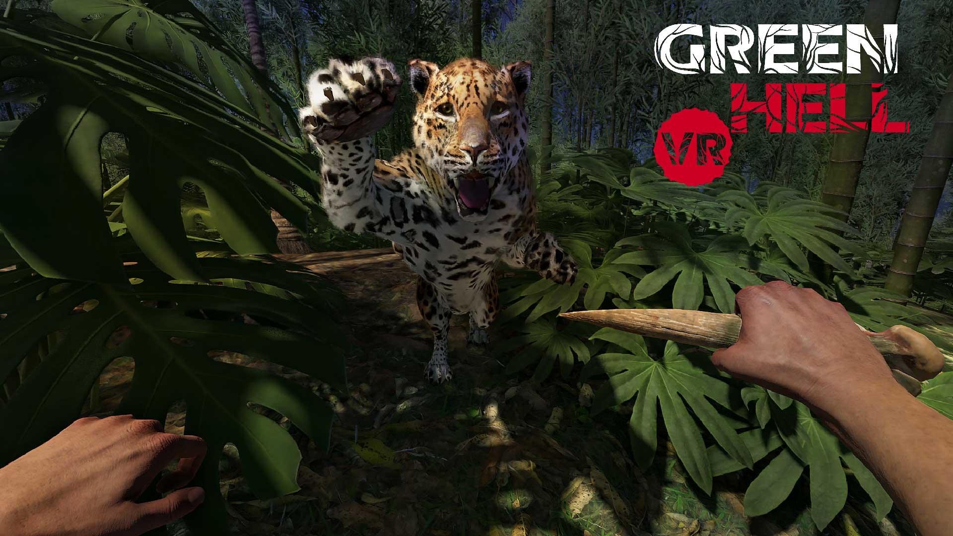 Verwerfen Instrument Kanone green hell größerer rucksack vorteilhaft