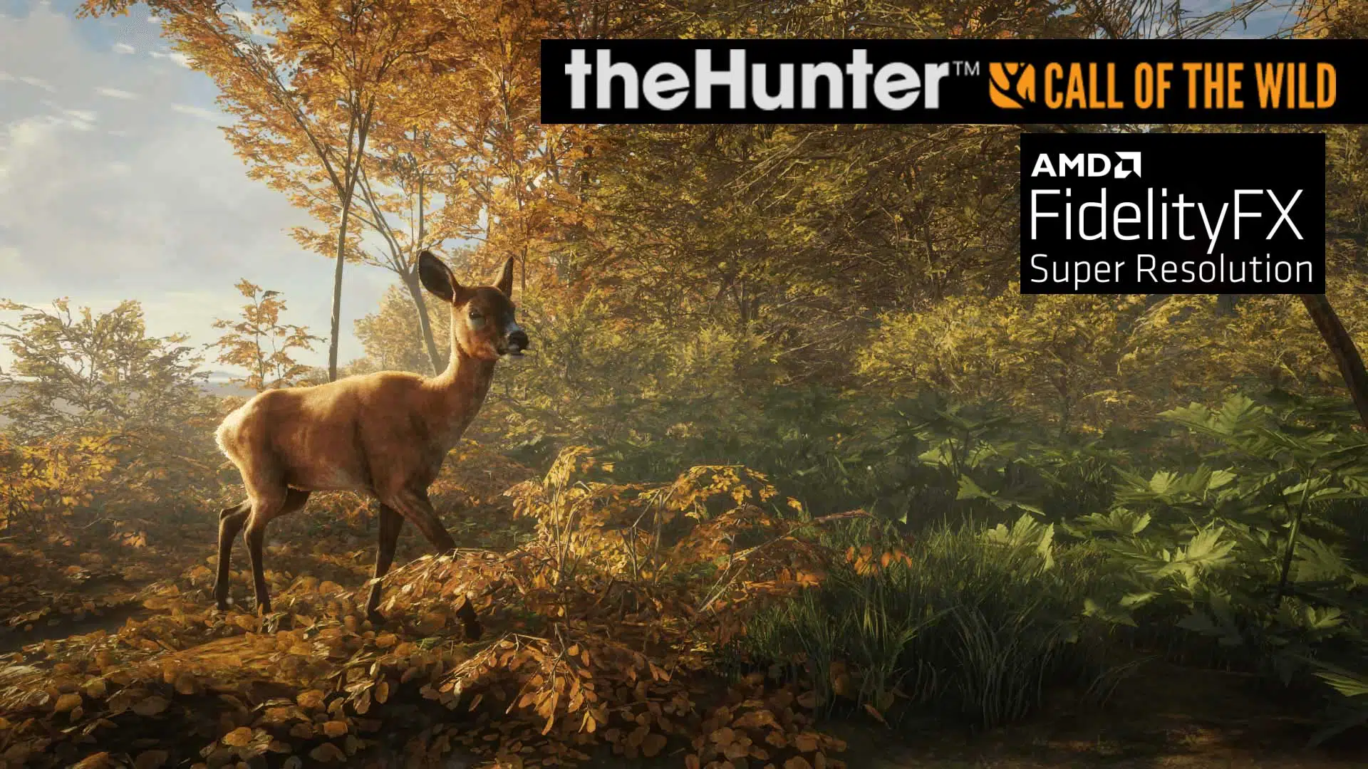 thehunter cotw amd fsr