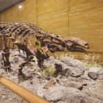 dinosaur fossil hunter screenshot 5