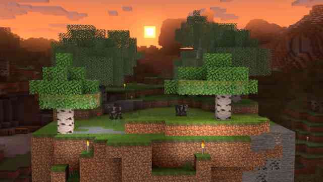 55 201005 NSW SSBU Screenshot Steve Stage 2c