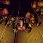 don t be afraid screens 6