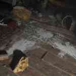 1195025ee29c169c2234.14292531 RE Village Announce 09