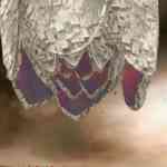 Add Oculus ScreenShot 10