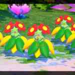 NSwitch NewPokemonSnap 11