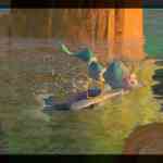 NSwitch NewPokemonSnap 23