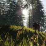 COTW Bloodhound PR HD 3