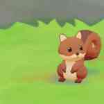 sospoot eichhoernchen