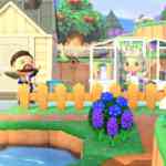 acnh hm looop coop 1