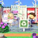 acnh hm looop coop 10