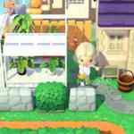 acnh hm looop coop 13