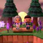 acnh hm looop coop 19