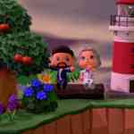 acnh hm looop coop 20