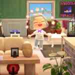 acnh hm looop coop 9