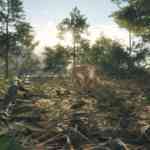 Rancho Del Arroyo screenshot 2