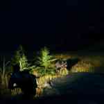 open country screenshots 4