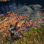 open country screenshots 5