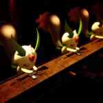 palworld screenshot 8