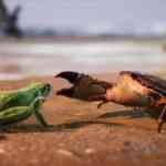 away the survival series 1