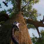 away the survival series 5